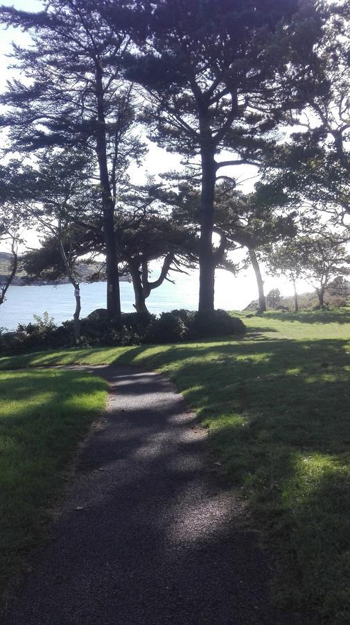 The Dell Dublin Bed & Breakfast Dun Laoghaire Ngoại thất bức ảnh